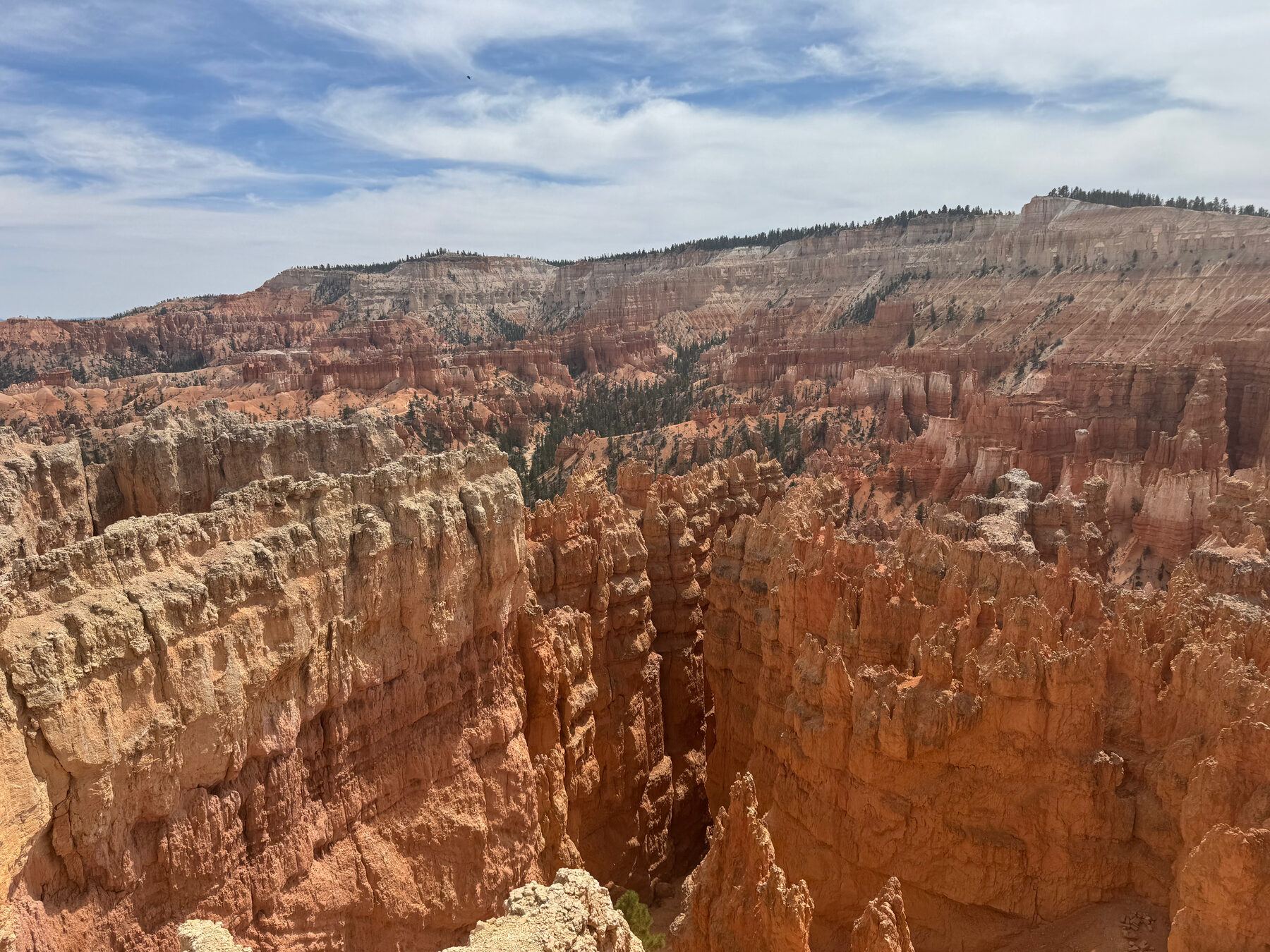 Bryce Amphitheater and its hoodoos