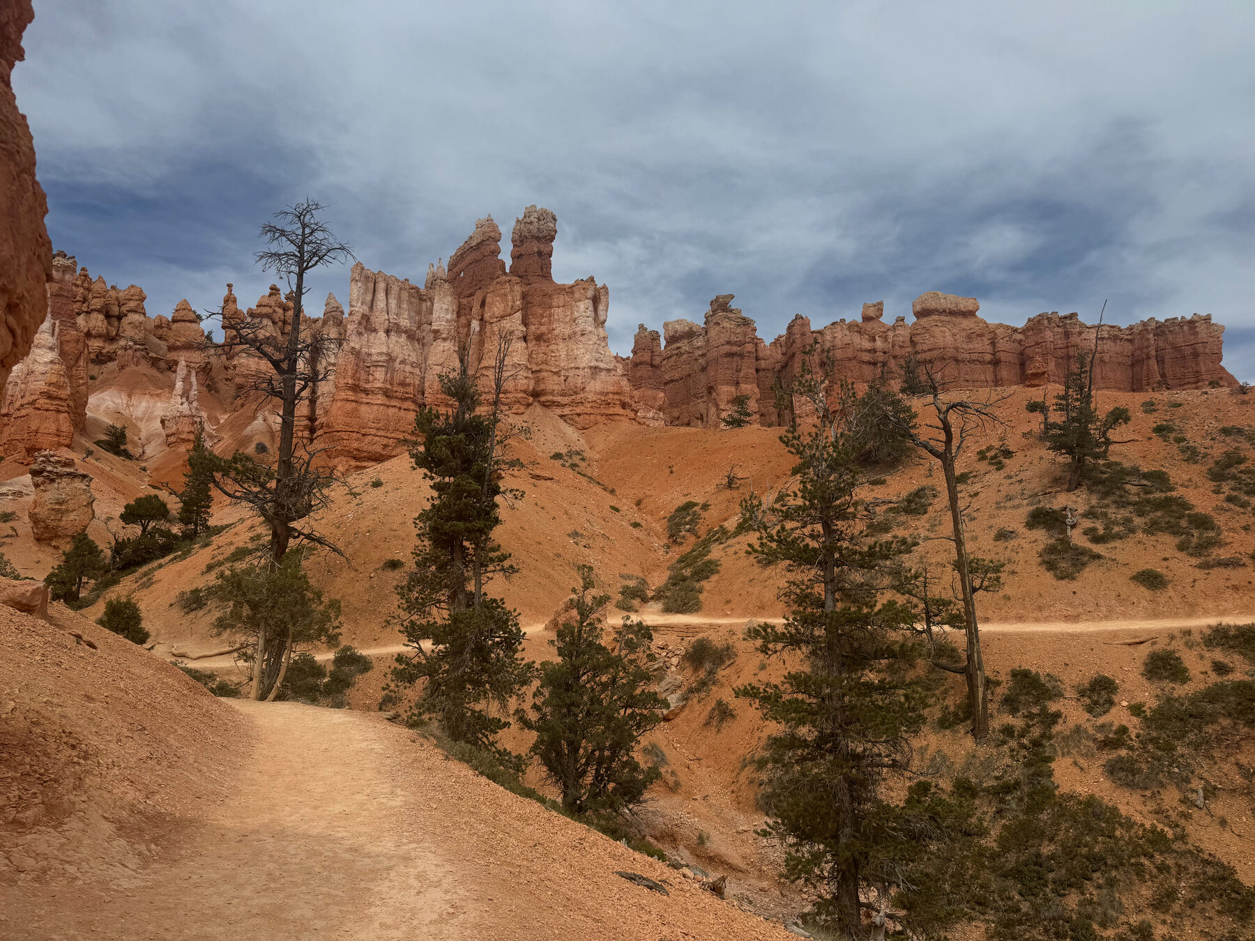 Orange hoodoos below the Bryce Canyon rim