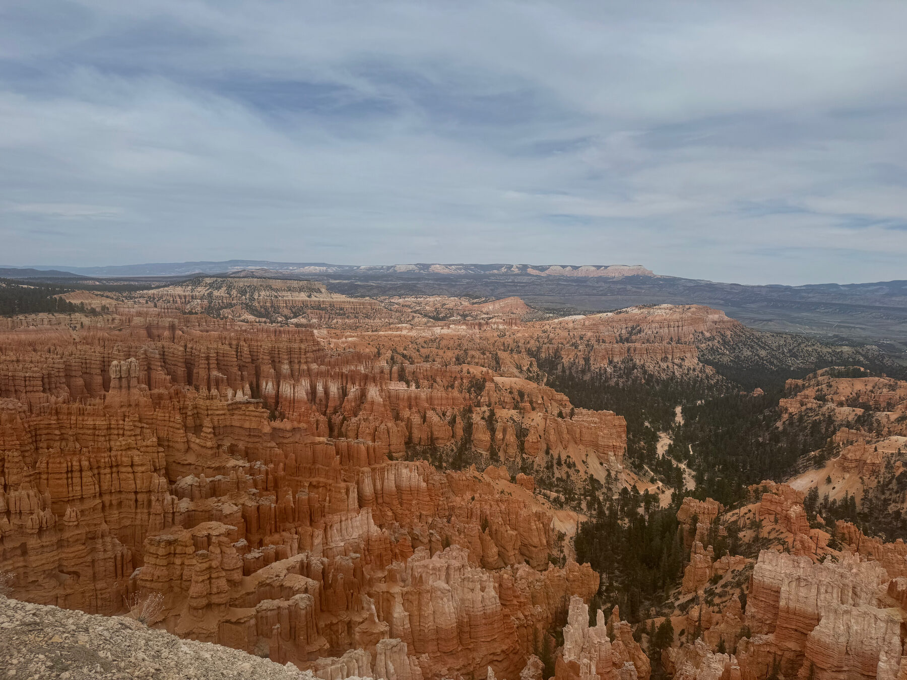 Wide view across the Bryce Canyon amphitheater