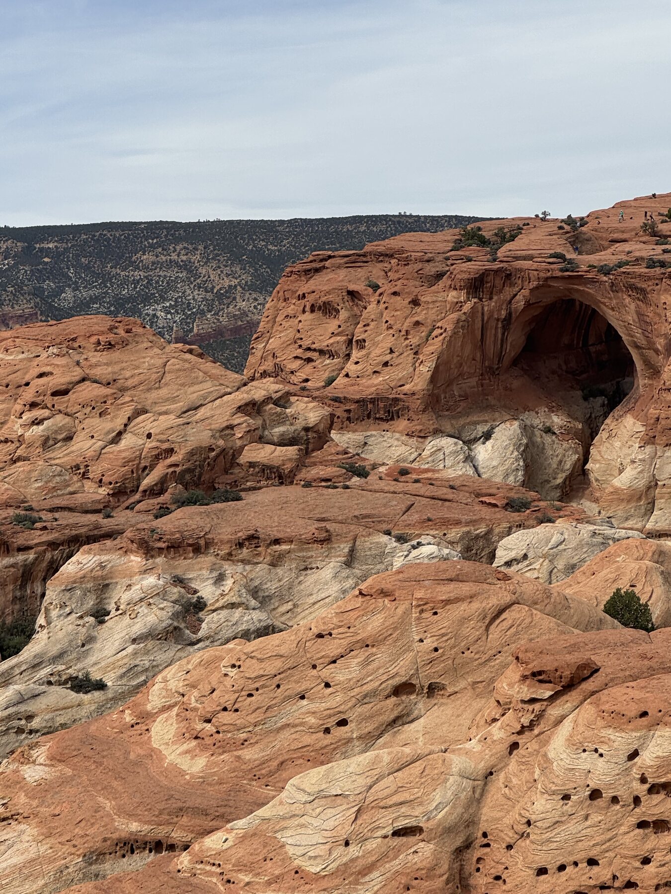 Sandstone domes in Capitol Reef