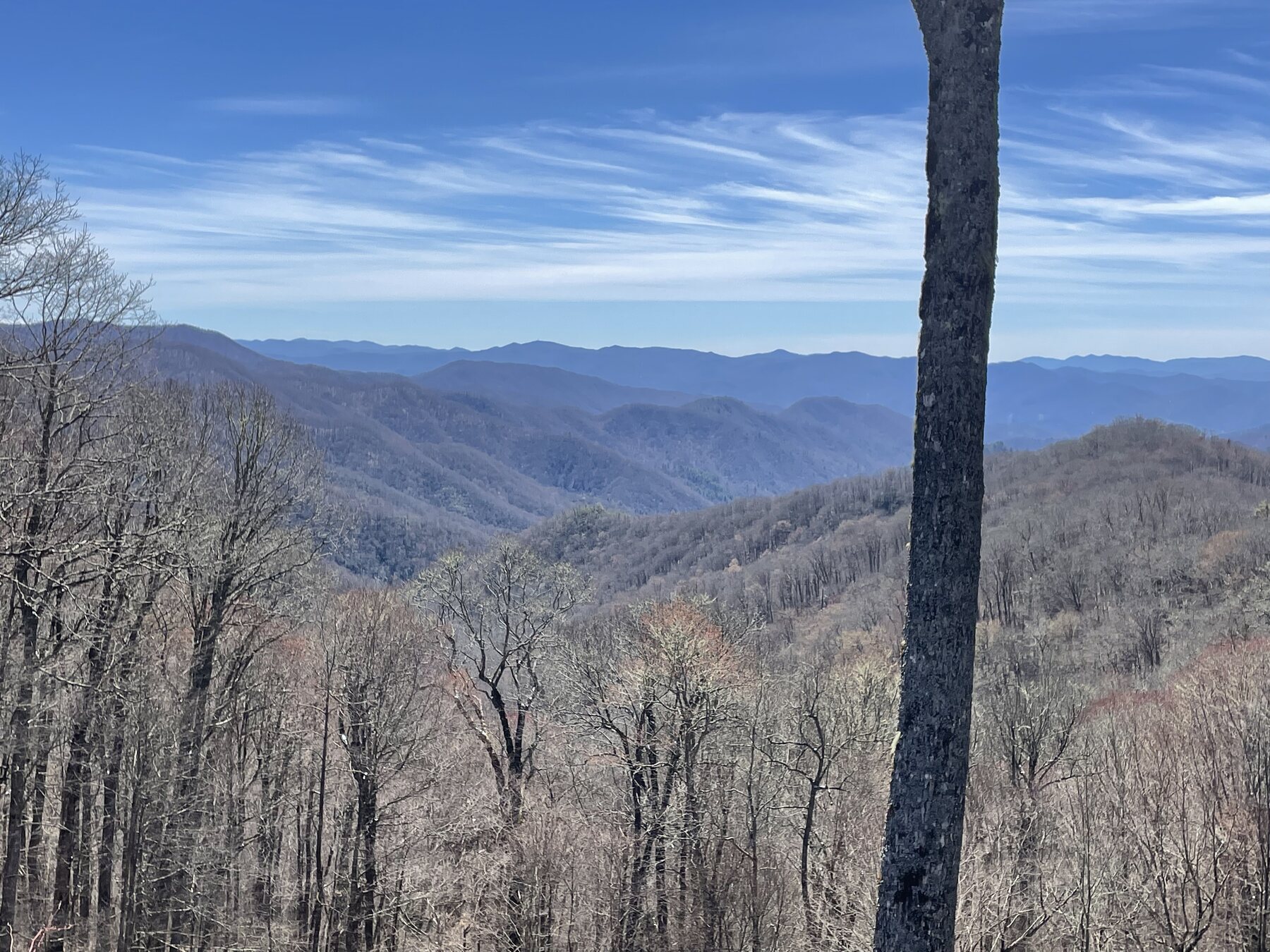 Layered Blue Ridge view in Great Smoky Mountains National Park