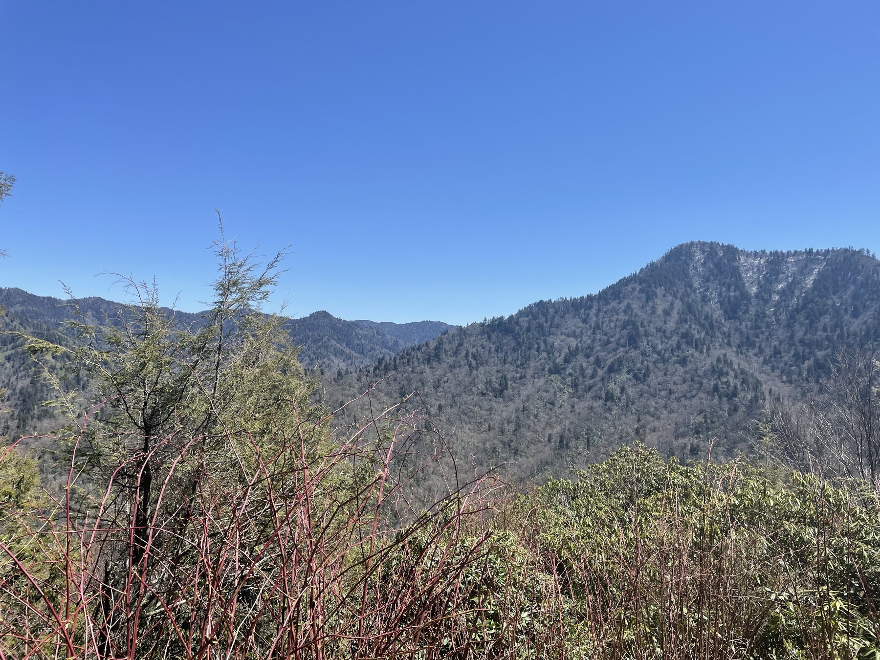 Mountain landscape in Great Smoky Mountains National Park