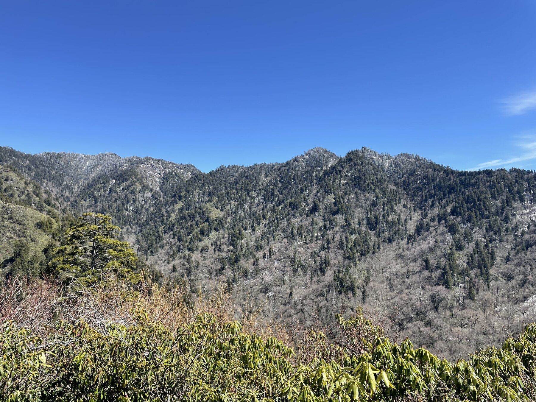 Rocky ridgeline in Great Smoky Mountains National Park