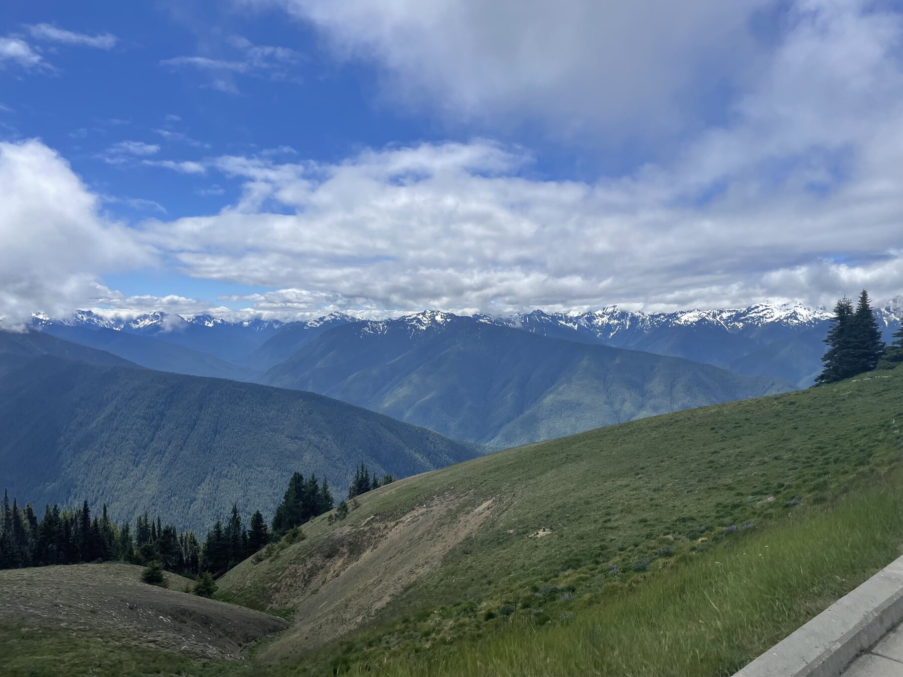Mountain view in Olympic National Park