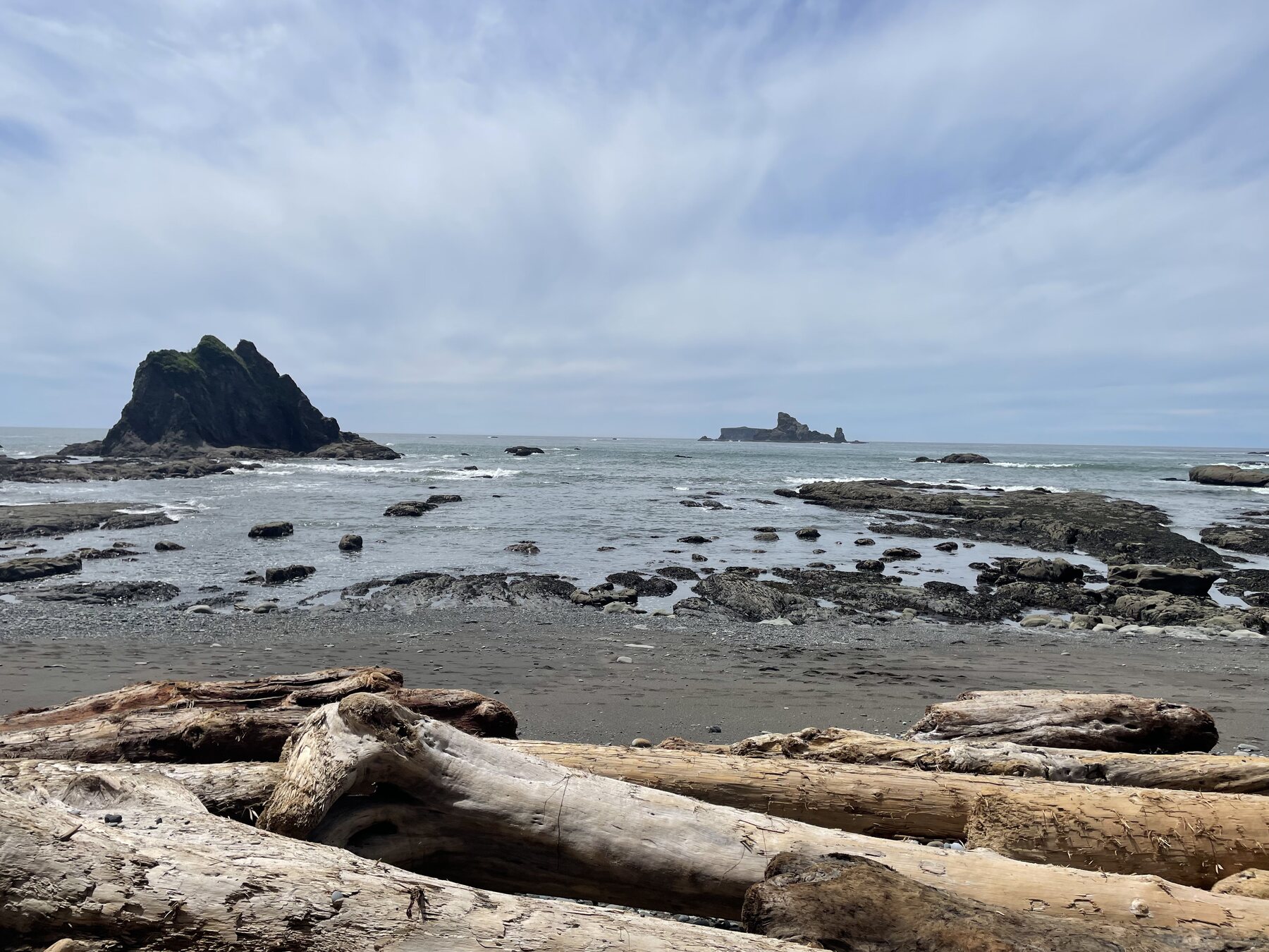 Pacific coastline in Olympic National Park