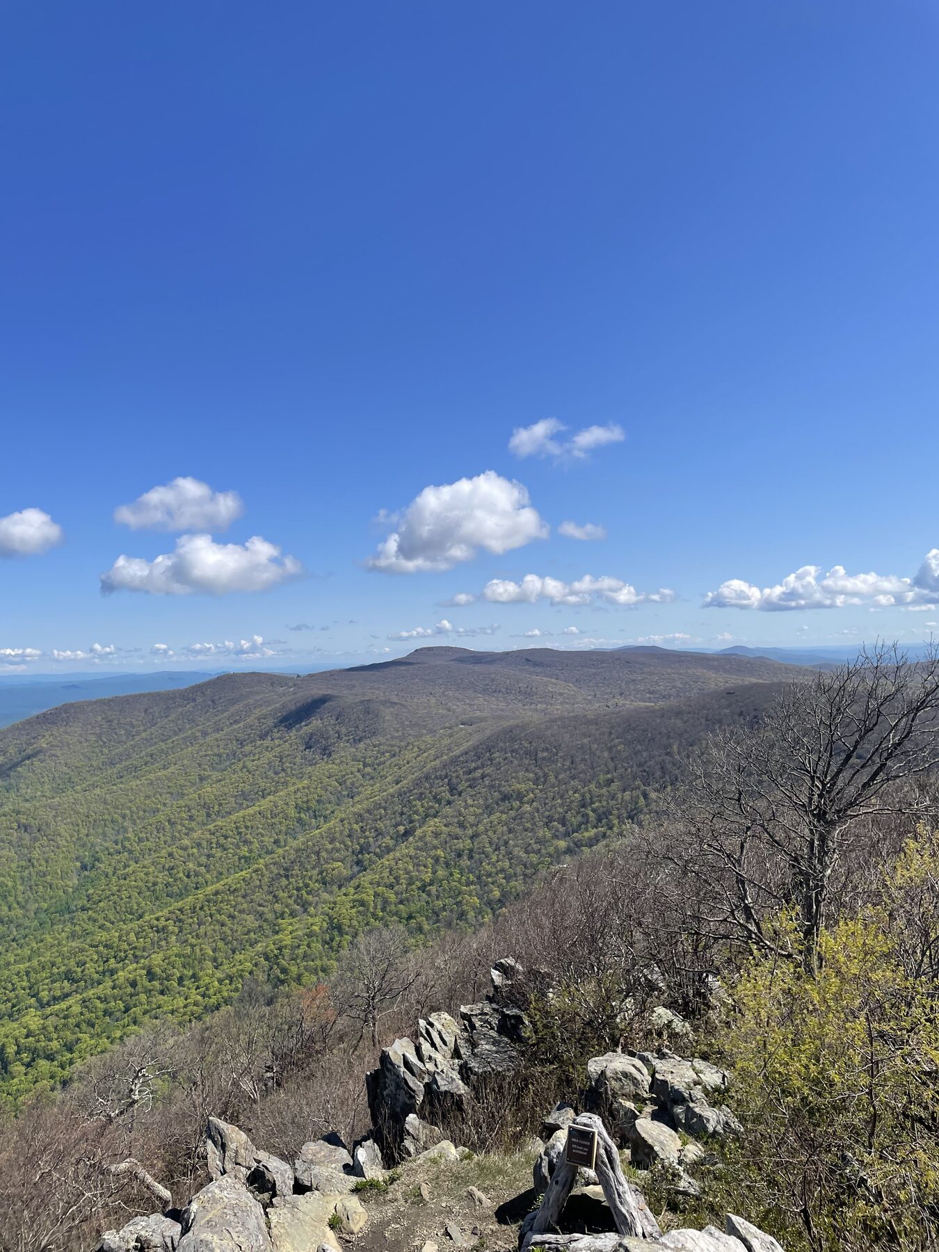 Blue Ridge mountain landscape in Shenandoah