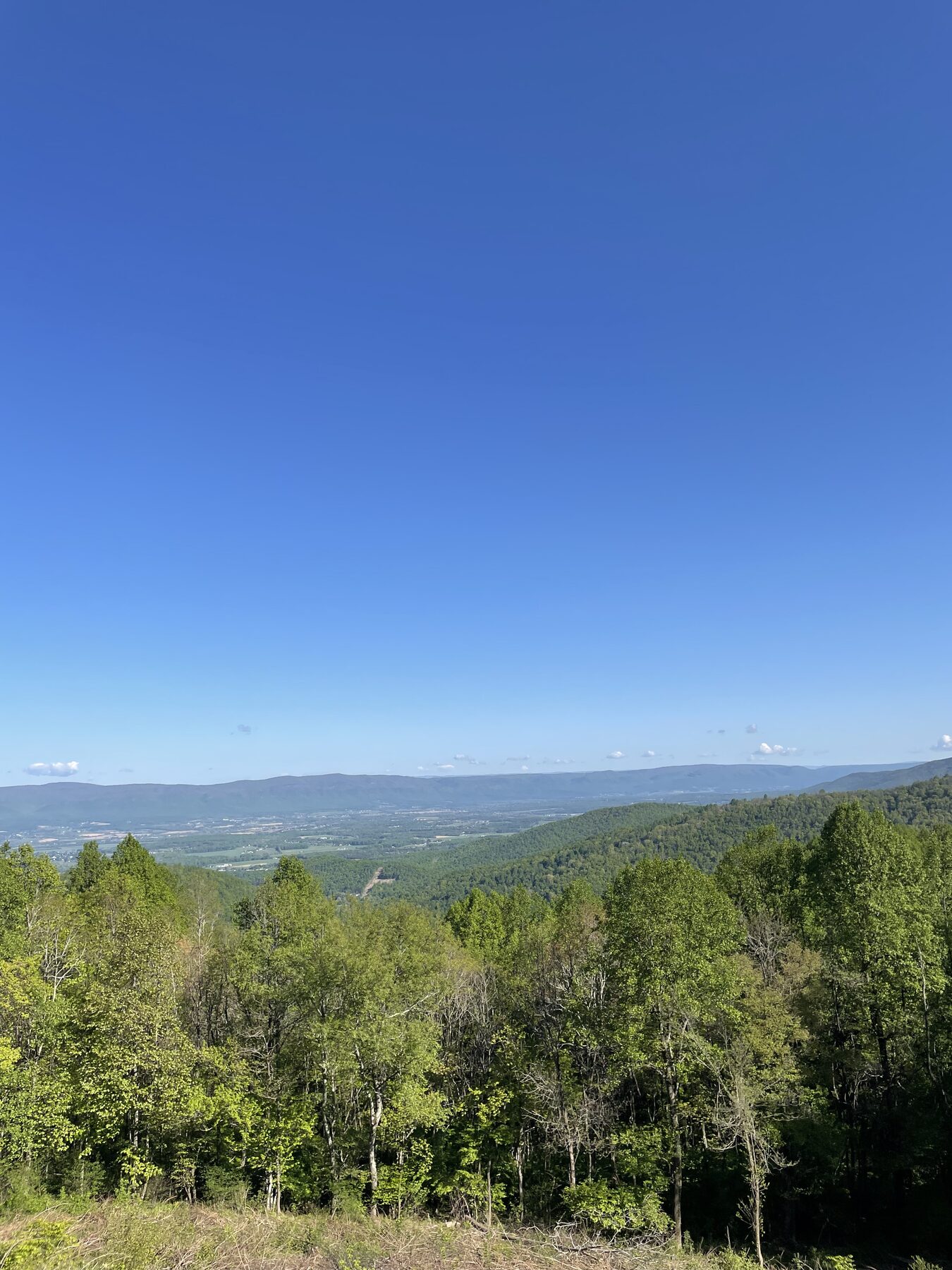 Shenandoah Valley viewed from Skyline Drive
