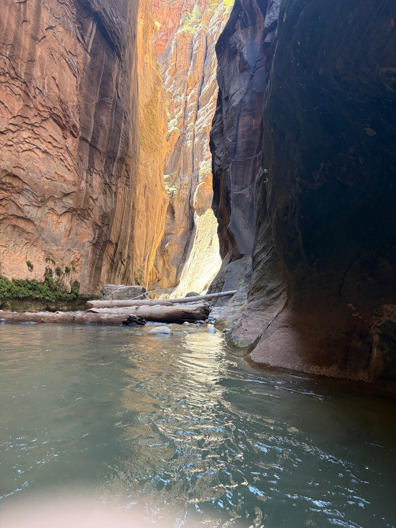 Virgin River flowing between Zion canyon walls