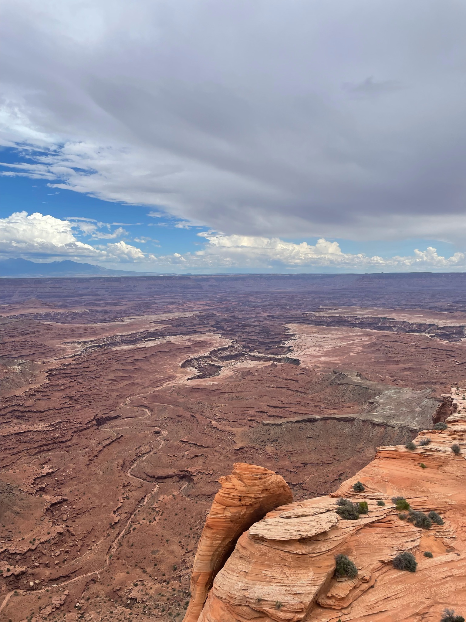 Desert landscape at Canyonlands
