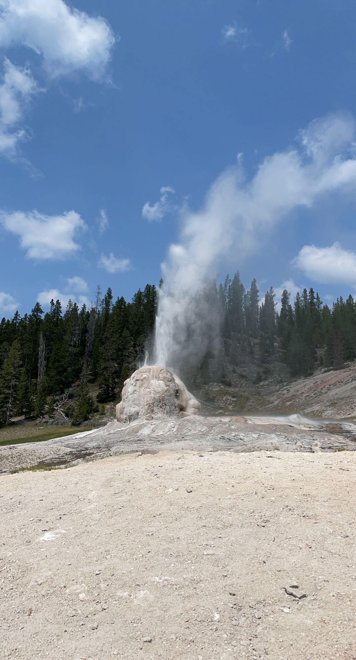 Geyser at Yellowstone