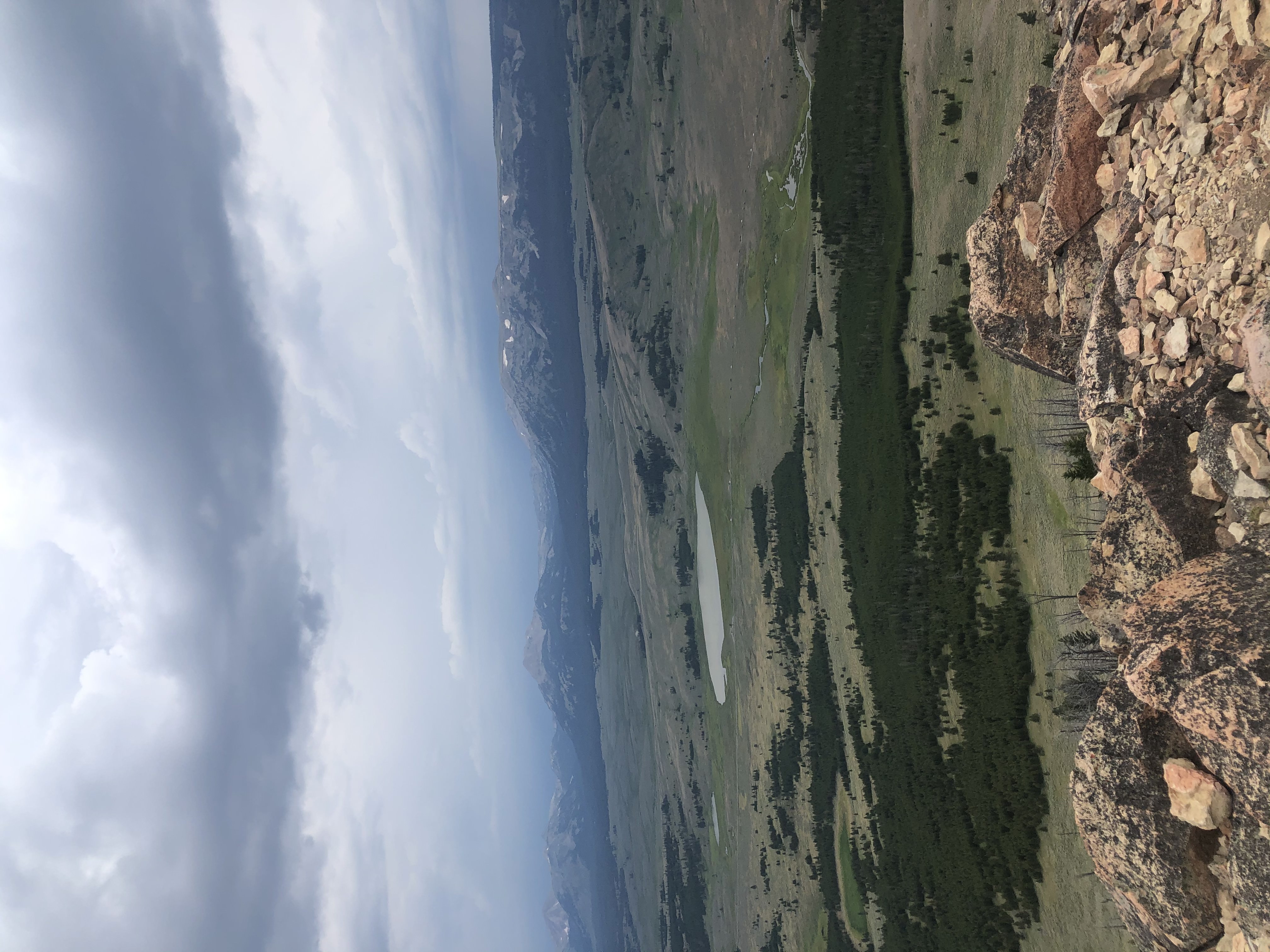 Yellowstone scenery