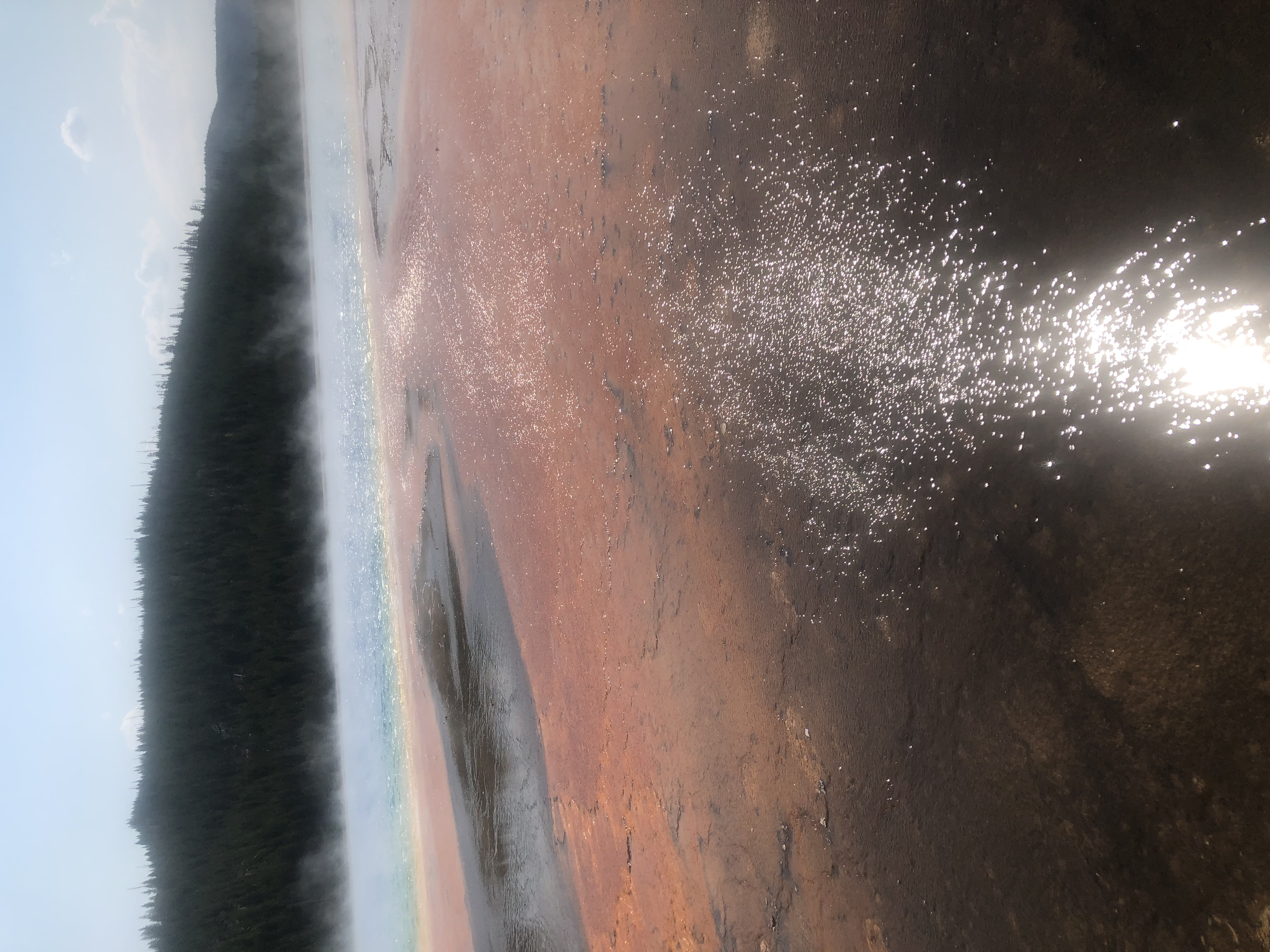 Open landscape at Yellowstone