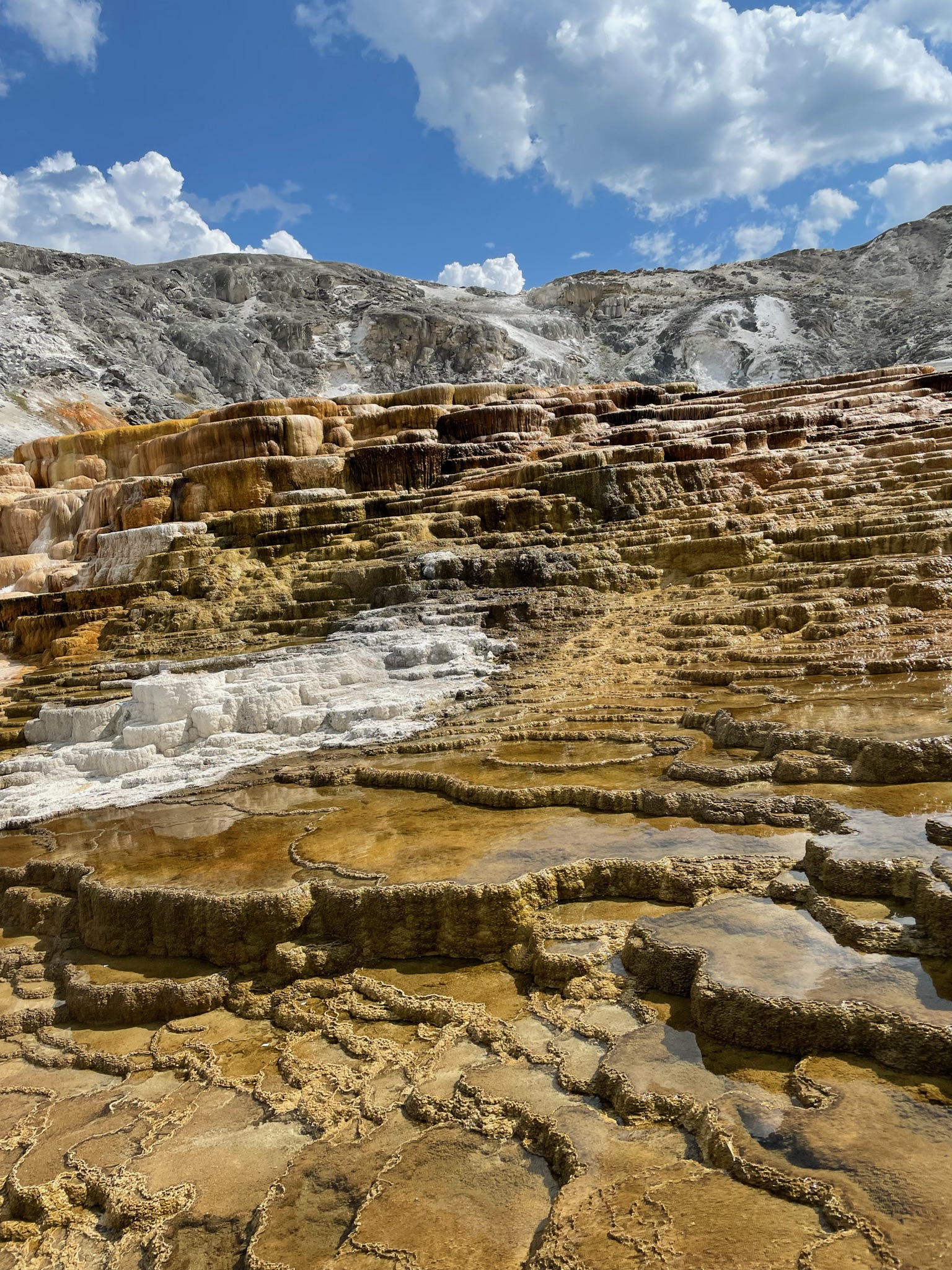 Mountain landscape at Yellowstone